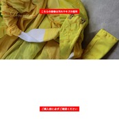 ベリーダンス 衣装 POLINA ポリーナ ツーピース セットアップ 上下セット オリエンタル イエロー系 トップス スカート フリル ラインストーン キラキラ 黄 緑 黄緑 ボリューム 華やか 明るい レース 長袖 ダンス衣装 イベント 輝き グリーン系