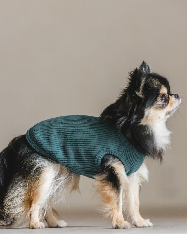 Luxury Warm リブ(ティールブルー)