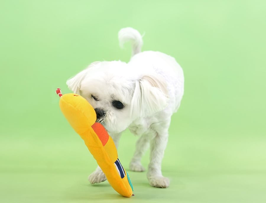 larva snack toy / ペット 犬 おもちゃ カシャカシャ 音が鳴る 知育玩具 ノーズワーク おやつ隠し 可愛い わんちゃん おもちゃ ストレス解消 toy15