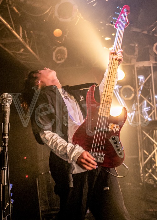 Velatria / 颯 / 201220-0436