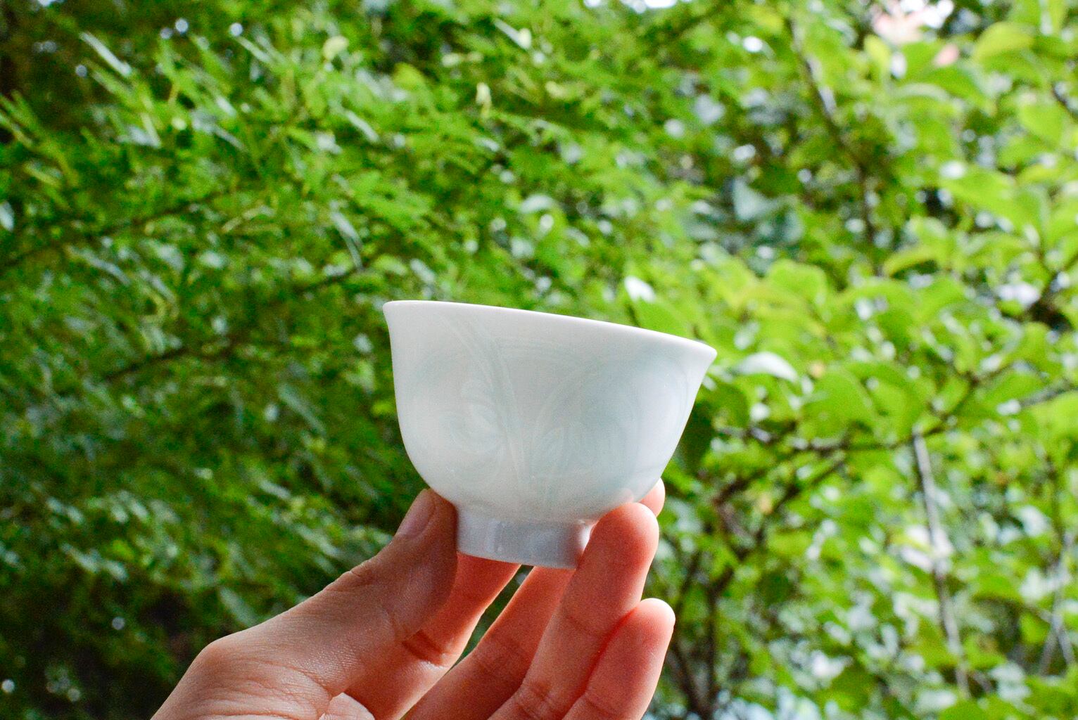 Teacup 煎茶碗 | CHABIYORI