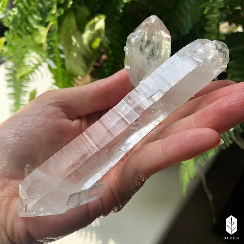 マニハール水晶 サボテンさん♪ | BIZEN Crystals マニハール水晶 サボテンさん♪ | BIZEN Crystals