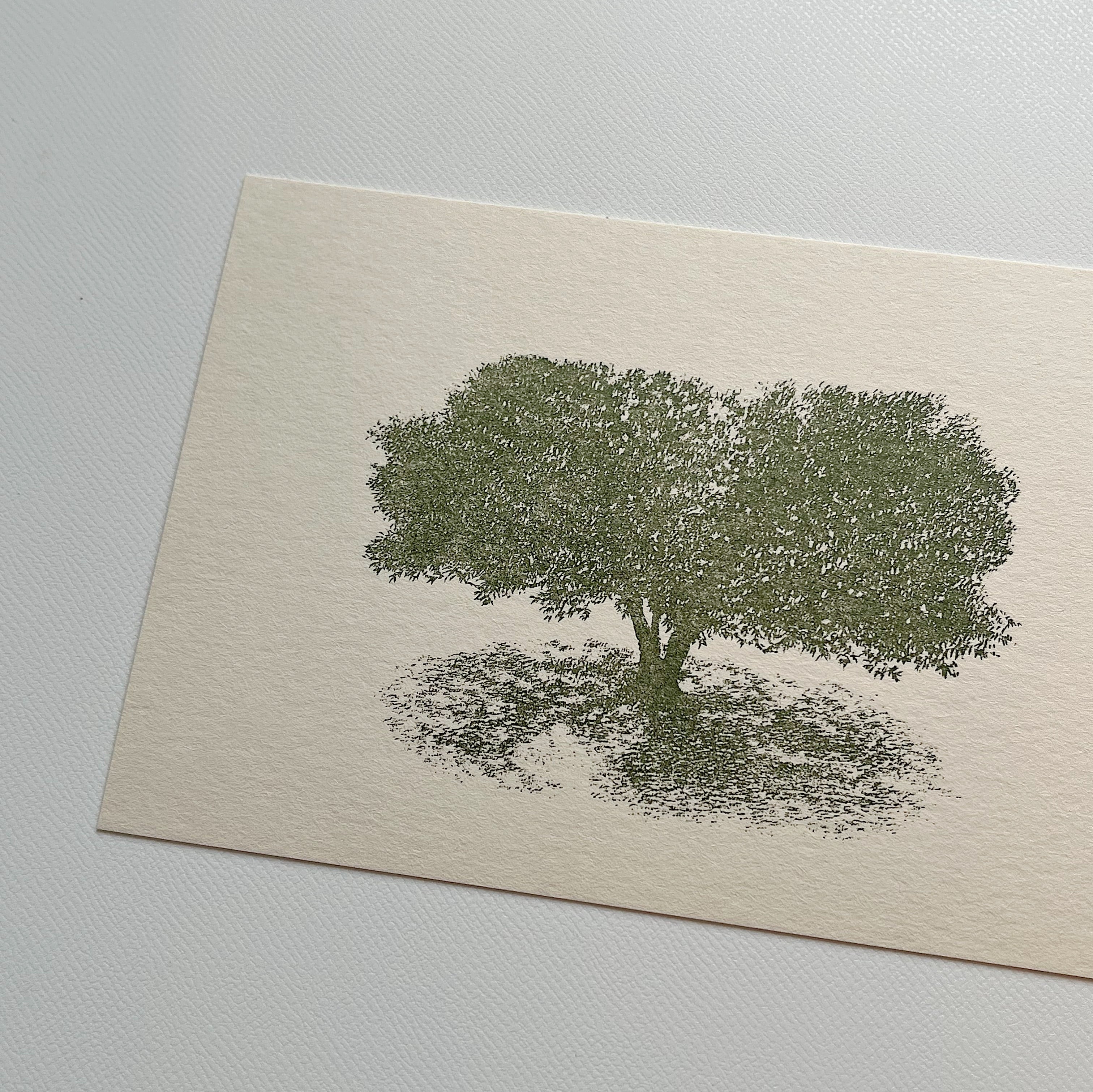knoten letterpress ポストカード 「木3」 | peca