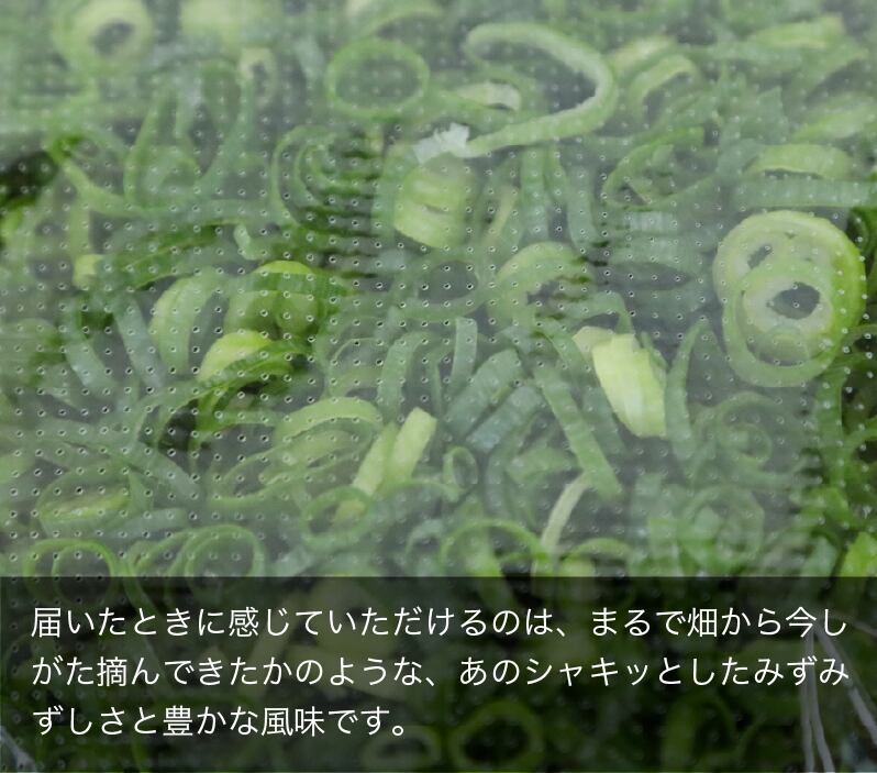 業務用カットネギ・きざみネギ4キロ（500g✕8袋）国産【80サイズ