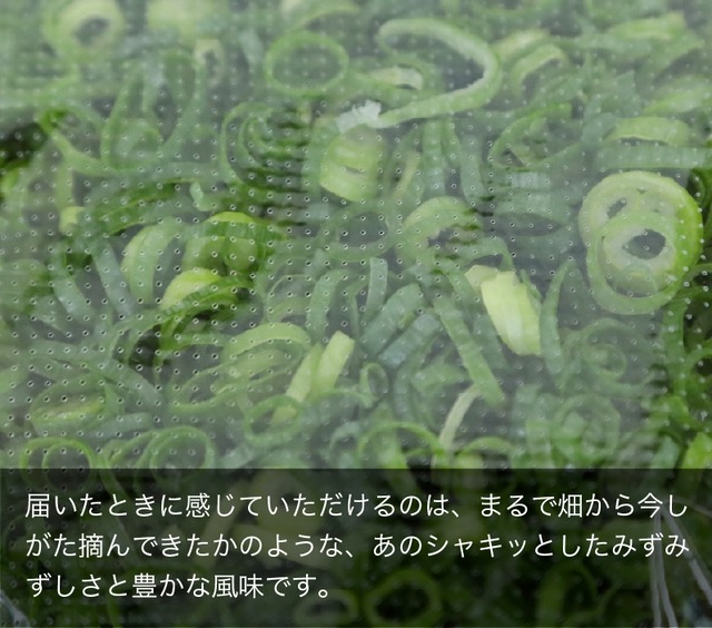 業務用カットネギ・きざみネギ4キロ（500ｇ✕8袋）国産【80サイズ】