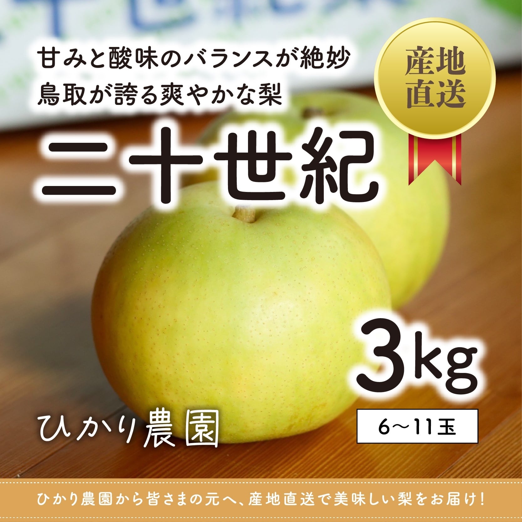 鳥取産】 優品・ご家庭用 二十世紀梨 10kg（22-32玉） | ひかり農園