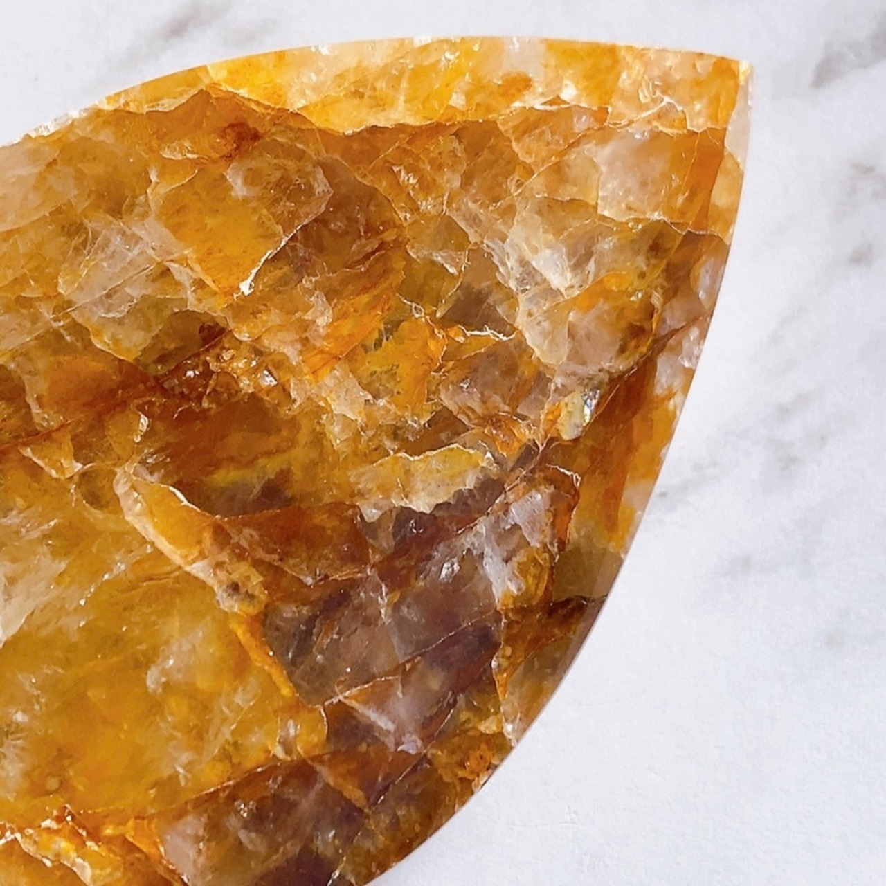 ゴールデンヒーラー フレイム01*ブラジル産