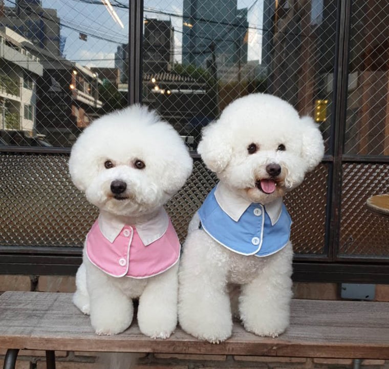 d3ea7a5712e249df3550b2c8ed3178