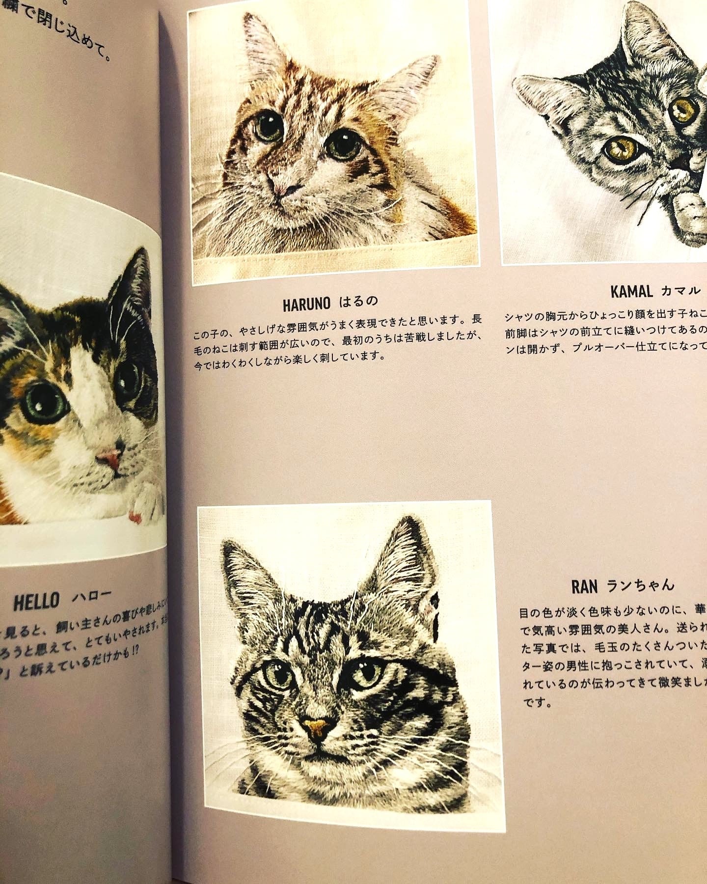 新品】わたしにもできる！ねこ刺繍レッスン | ひるねこBOOKS