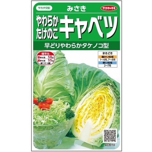 キャベツ 「みさき」（小袋） 画像