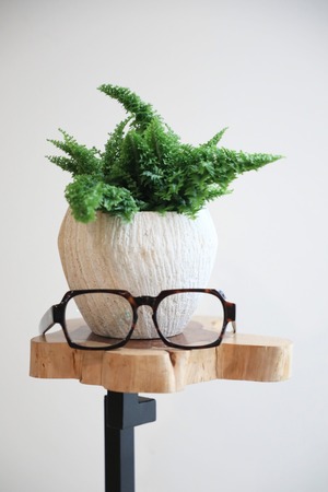 【S】スコッチシダ/Scott Fern　ストーンポットカバー付き