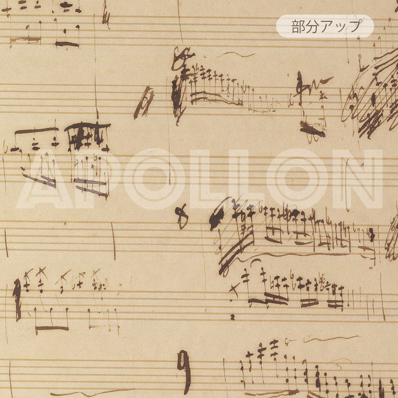 完全復刻版　ショパン自筆楽譜集　1、2、小冊子 解説完全復刻版ショパン自筆楽譜集 1/2+演奏用楽譜+解説