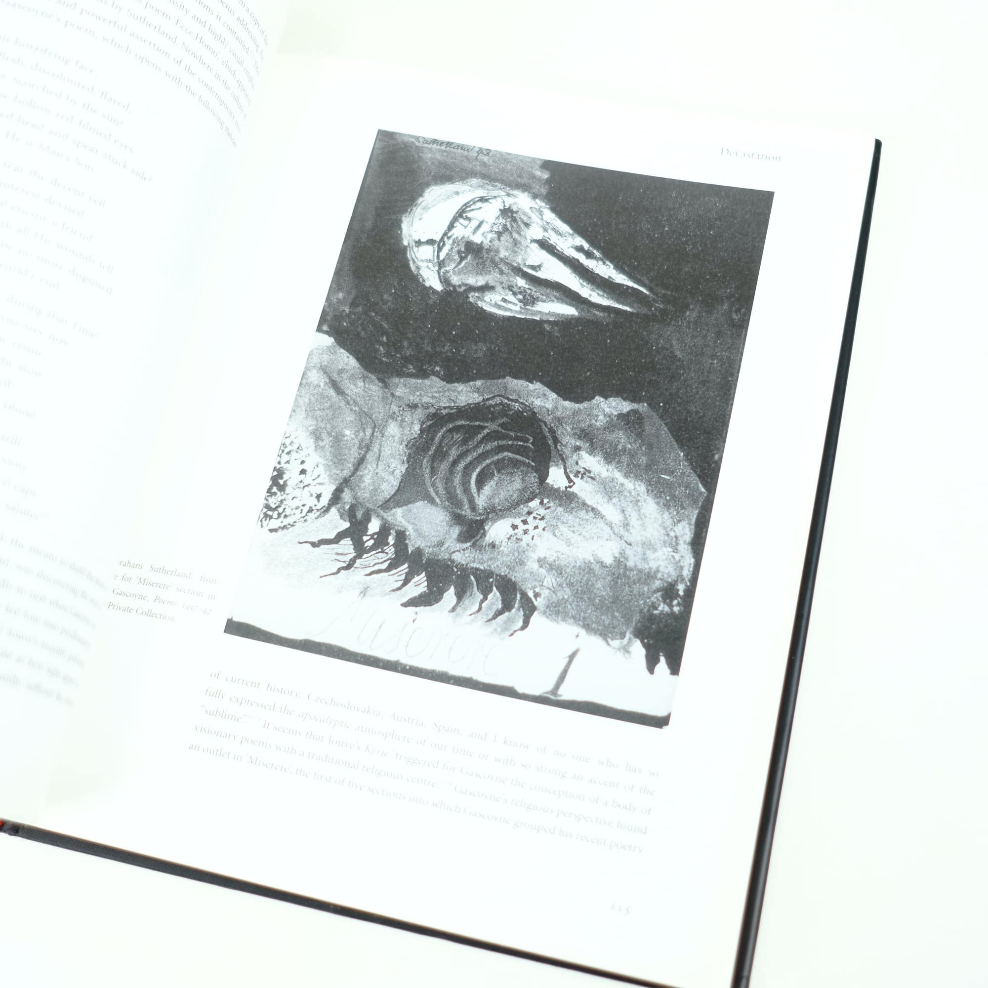 BACON AND SUTHERLAND Martin Hammer | artbookano