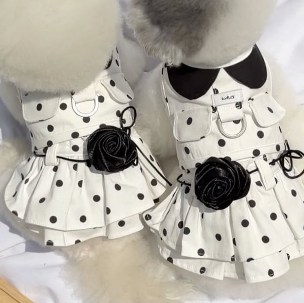 予約【todley】Black Rose belt