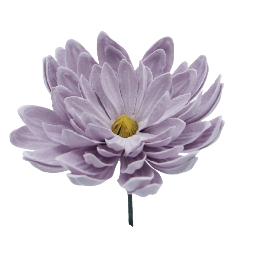 ダリアDP1 ライトラベンダー (15輪入りor25輪入り)