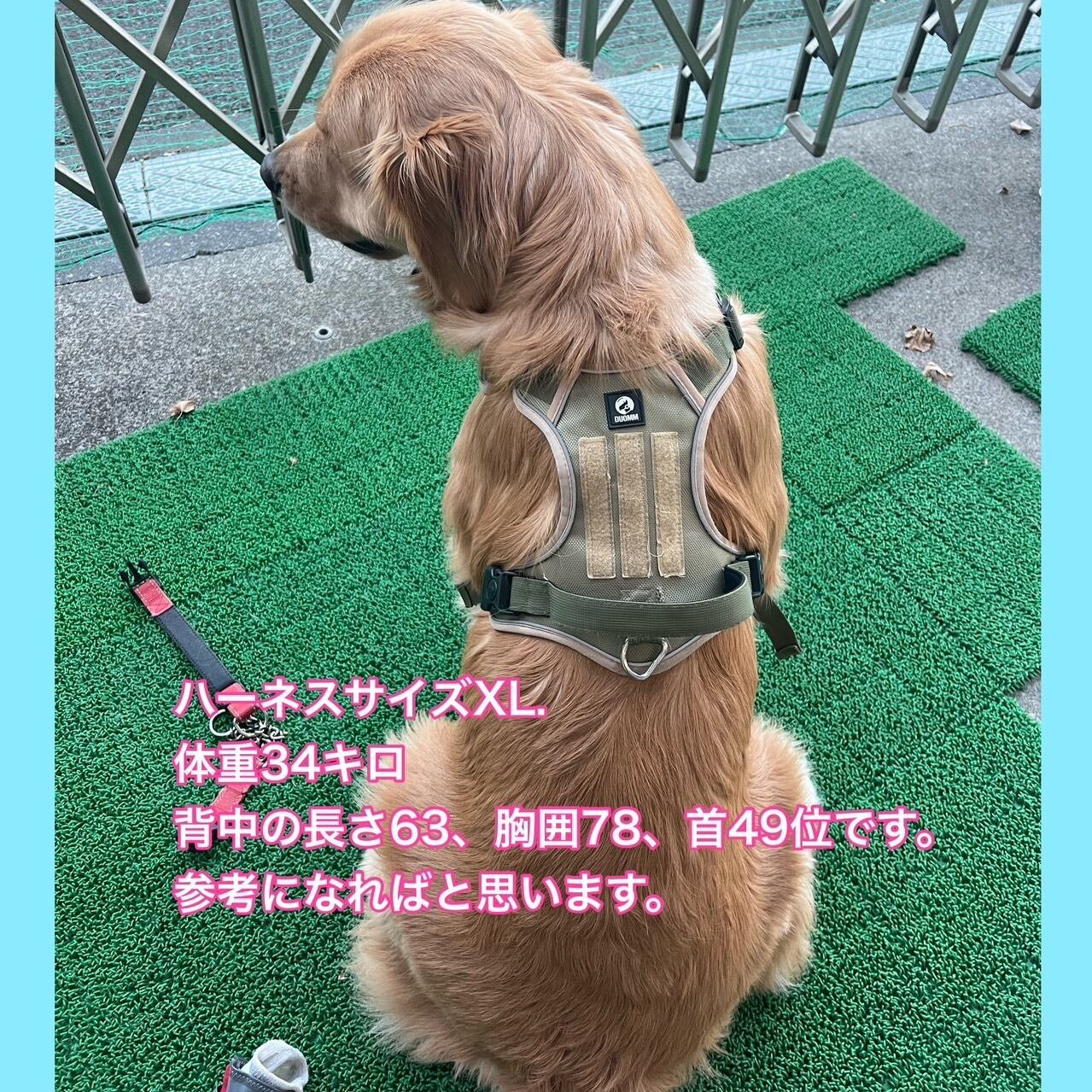 犬 ハーネス 中型犬 大型犬 胴輪 犬ハーネス 抜けない ハーネスベルト