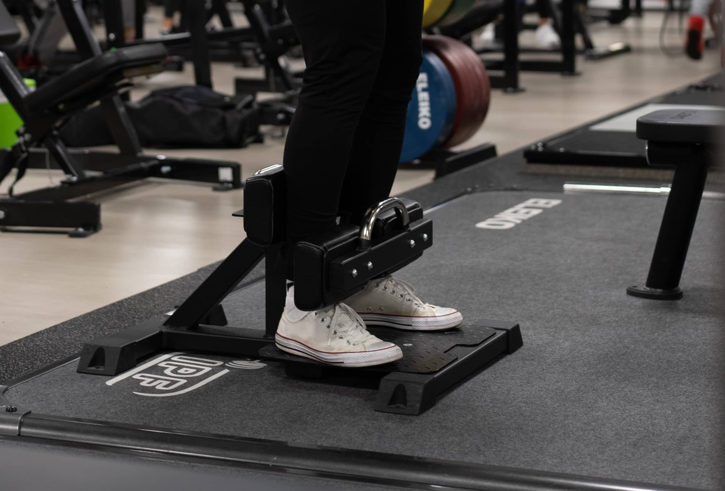 144 シシースクワット | gymlecojapan
