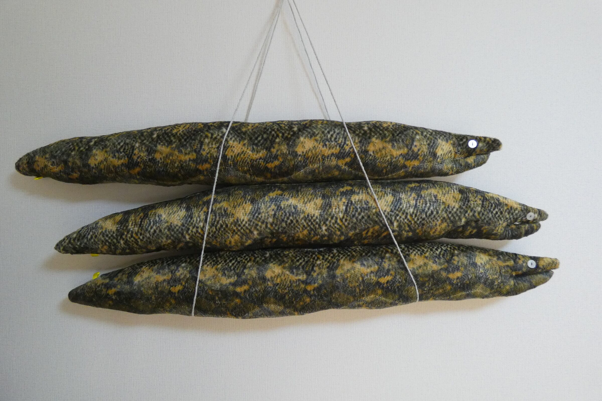 ウツボ Moray eel | ぬいぐるみ工房nuwasu