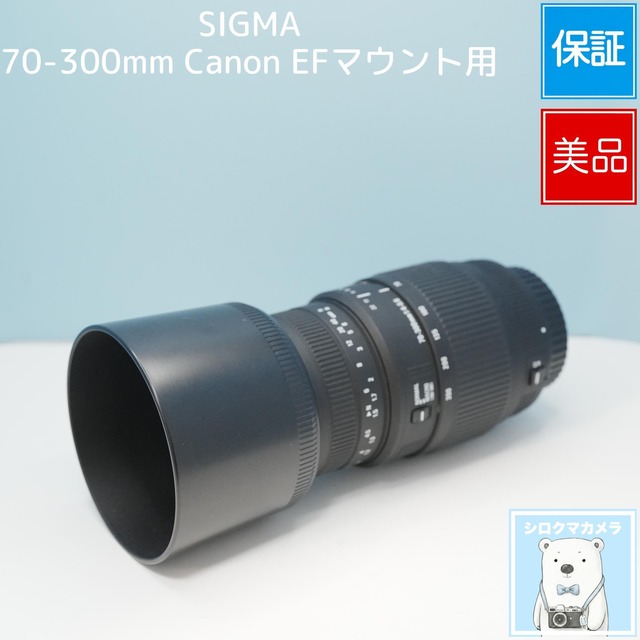 SIGMA 70-300mm Canon EFマウント用 望遠レンズ 美品 a6704