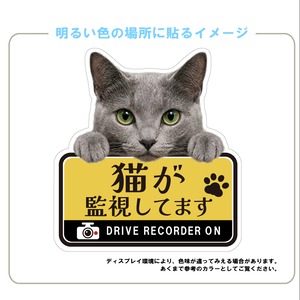 ロシアンブルー・猫・CAT・cat・ドライブレコーダー・ドラレコステッカー・撮影中・車・ステッカー・インクジェット印刷・屋外用・猫好き・ドライブグッズ・監視しています・おもしろい・かわいい・肉球