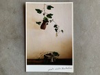 椿野恵里子 / ポストカード 山葡萄  postcard