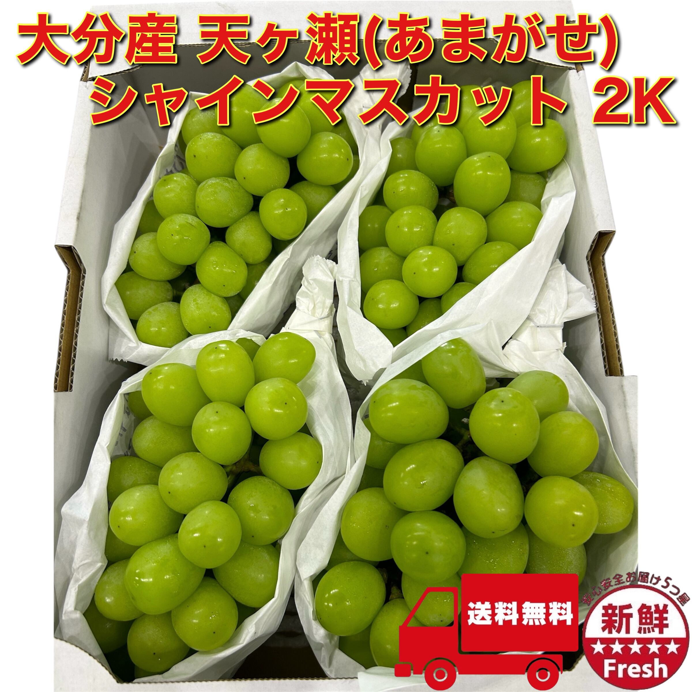 大分県産 天ヶ瀬(あまがせ) シャインマスカット 2K箱4房入り