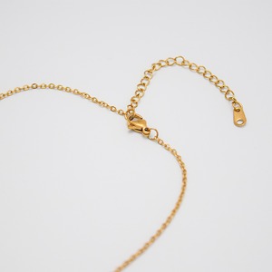 スイス5ラッペンコインネックレスゴールド