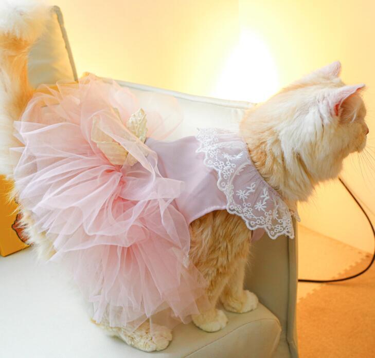 《予約》3101503 ピンクチュールワンピース