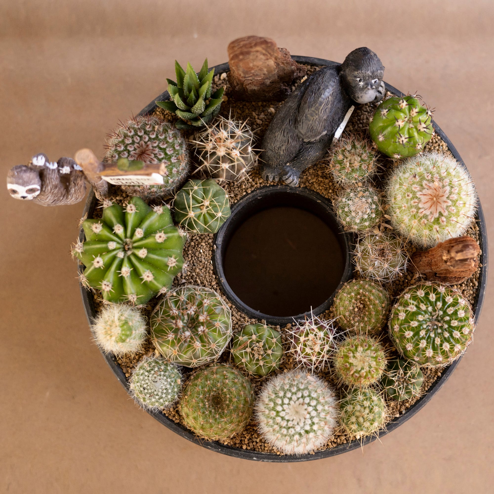 サボテン リース 寄せ植え 箱庭 多肉植物 ミニ 観葉植物 プレゼント