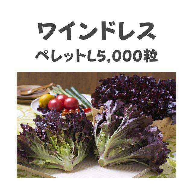 ワインドレス　レタス種子・ペレットL5,000粒
