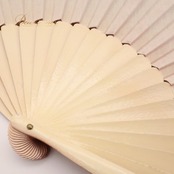 フラメンコ 小物 31.5cm アバニコ ブラウン系 オレンジ系 ホワイト系 茶色 白 扇子 せんす 無地 シンプル 小道具 ダンス小物 練習 レッスン 舞台 発表会 イベント ダンス ステージ フラメンコ小物 光沢 艶