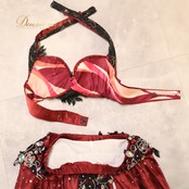 ベリーダンス 衣装 INCA belly ツーピース 上下セット セットアップ オリエンタル レッド系 ブラック系 シルバー系 ホワイト系 ピンク系 赤 ワインレッド 黒 ラインストーン ビーズ ラメ 装飾 練習 レッスン 舞台 発表会 イベント ダンス ステージ ダンス衣装 キラキラ 輝き 光沢 鮮やか おしゃれ 花柄 スリット