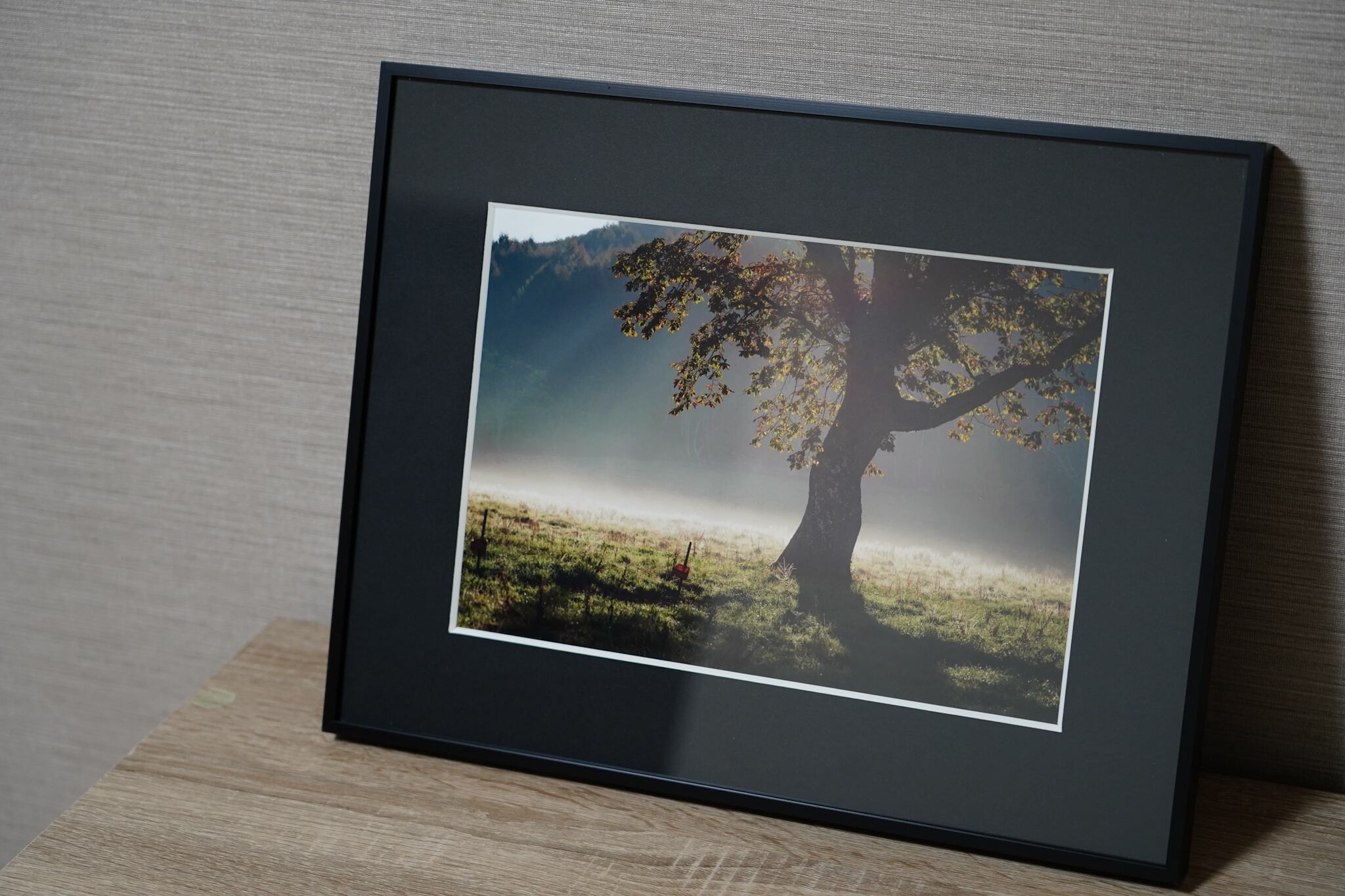 ラーソン・ジュール株式会社 F20額縁 値下げ】LARSON-JUHL 額縁30cm