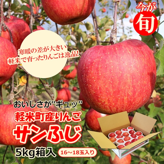 【今が旬！　軽米町産りんご】サンふじ5kg箱入り（16玉～18玉）※ご贈答用向き