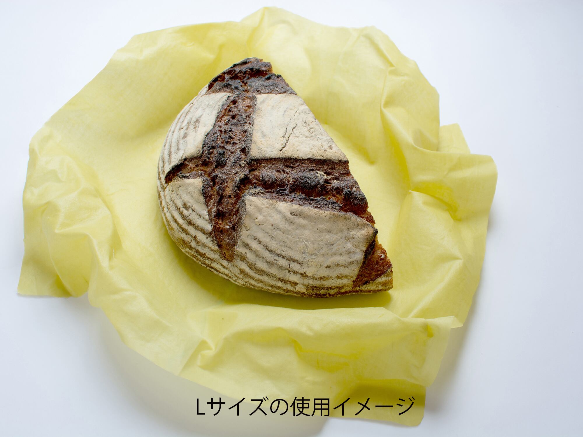tsutsumi / L 36cm / ame to kuma | マメムギモリノナカ公式サイト
