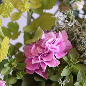 モンディマンシェ 母に贈る方寄せ植え（送料込み）　ベルチャームエレンのチェア｜届いてすぐ飾れる完成品｜玄関インテリア｜母の日・新築・開店祝いギフト