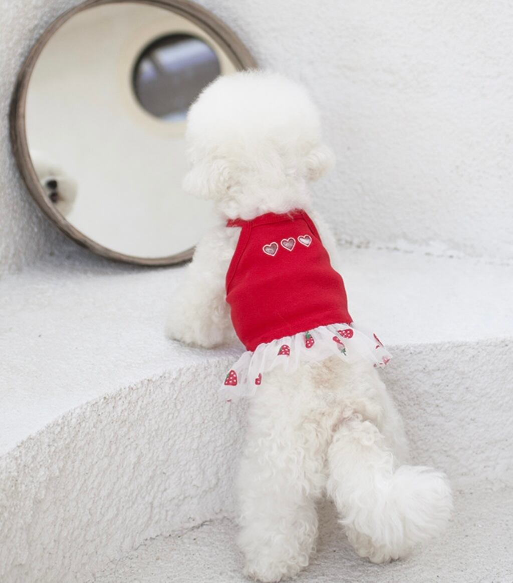 〖予約〗C0026 ハコワンピース