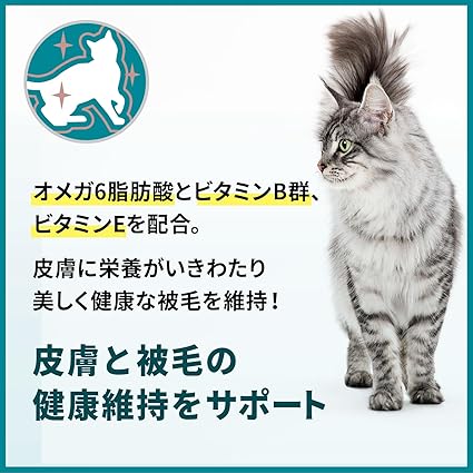 ピュリナ ワン キャット ドライ 敏感なお腹と皮膚の健康ケア サーモン