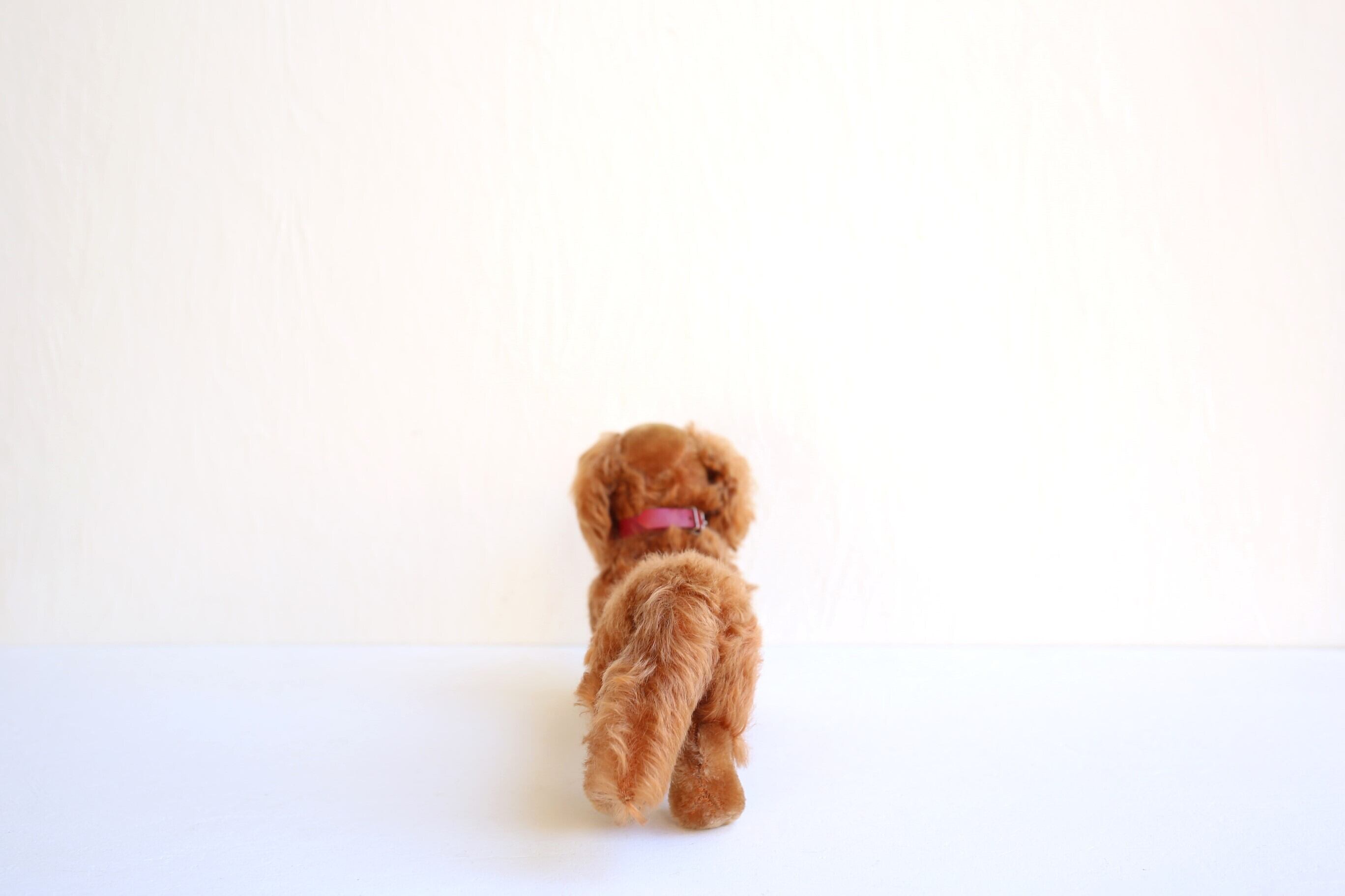 ドイツ ヴィンテージ Steiff シュタイフ ダックスフント『WALDI』 N