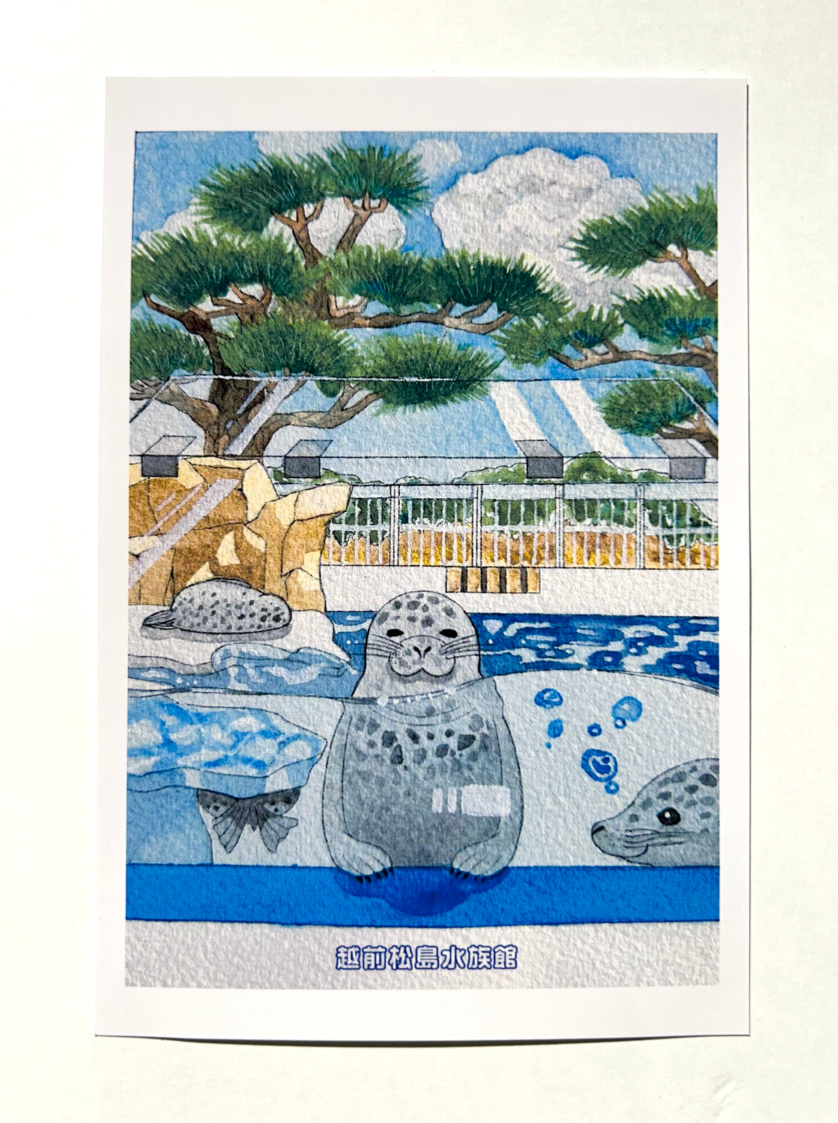 ポストカード【全12種類】 | 越前松島水族館 ONLINE SHOP