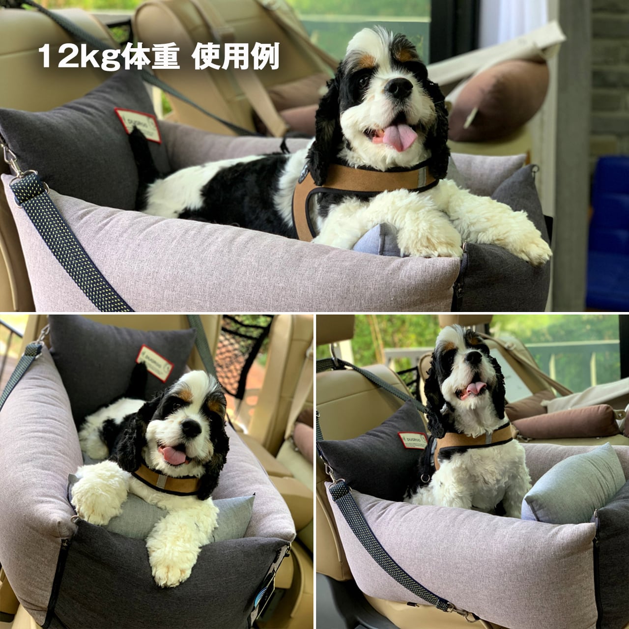 All-Round L Driving Kit【Gray Combi】with shade screen / Dugroo