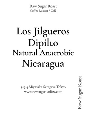 【NEW】Nicaragua | Los Jilgueros