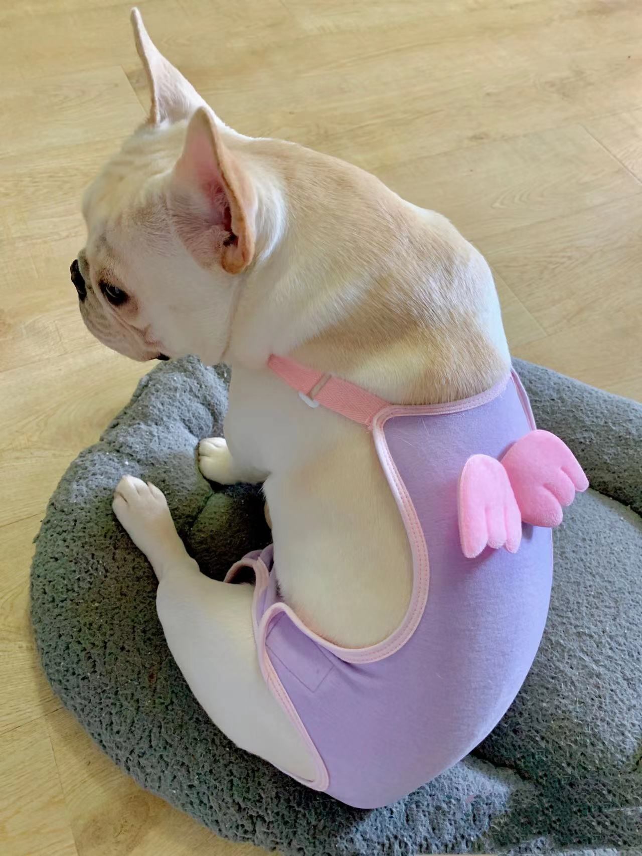 犬服 フレンチブルドッグ 生理用品 しつけ用品 生理用 パンツ 女の子用