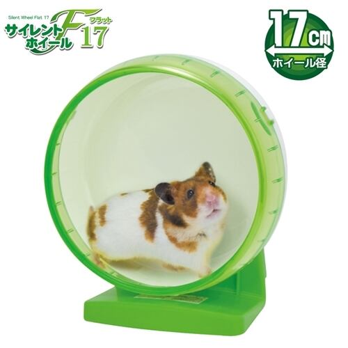 トレッドミルホイール 小動物用 直径36cm 床置き回し車 チンチラ