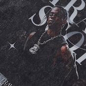 VINTAGE ストリート TravisScott Tシャツ T965