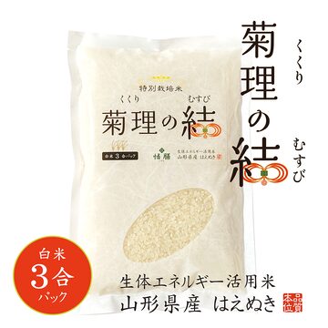 生体エネルギー発生装置S型応用商品