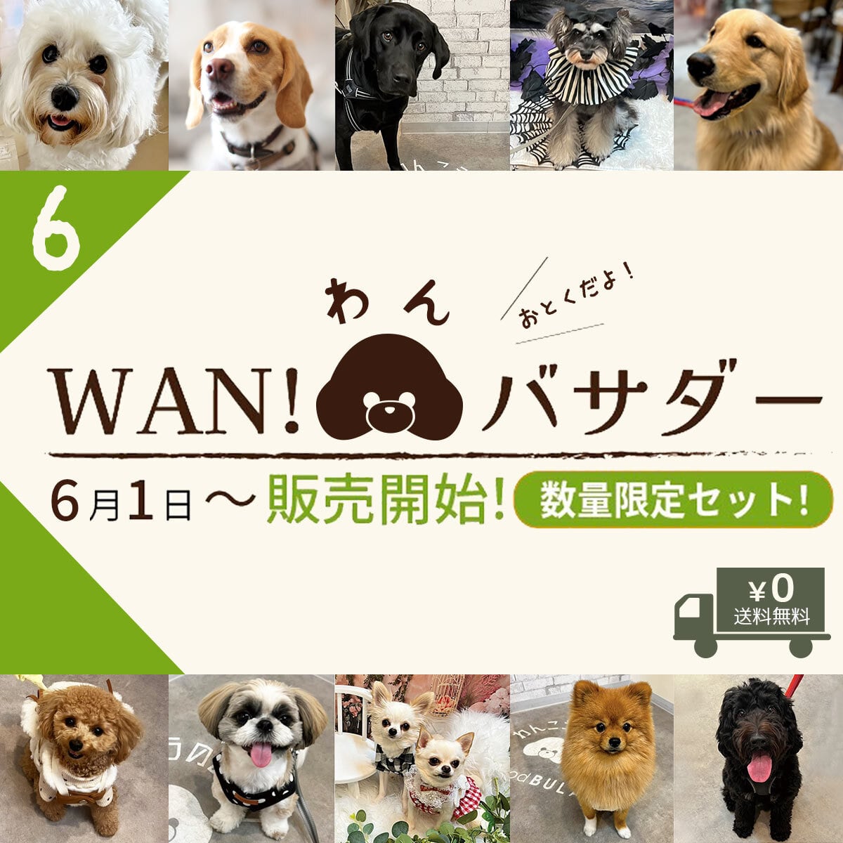WANバサダー2点セット【2026年6月分】数量限定!《全犬種用》送料無料 #wanバサダー WANBASSADOR ワンバサダー (鹿肉・鶏肉・いのしし・おさかな・アラカルト・大地の恵み・SWEETS・wanbassador )