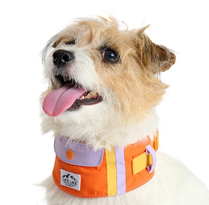 犬用バンダナ　ビタミンカラーバンダナ 　保冷剤付き　[サイズ: L]