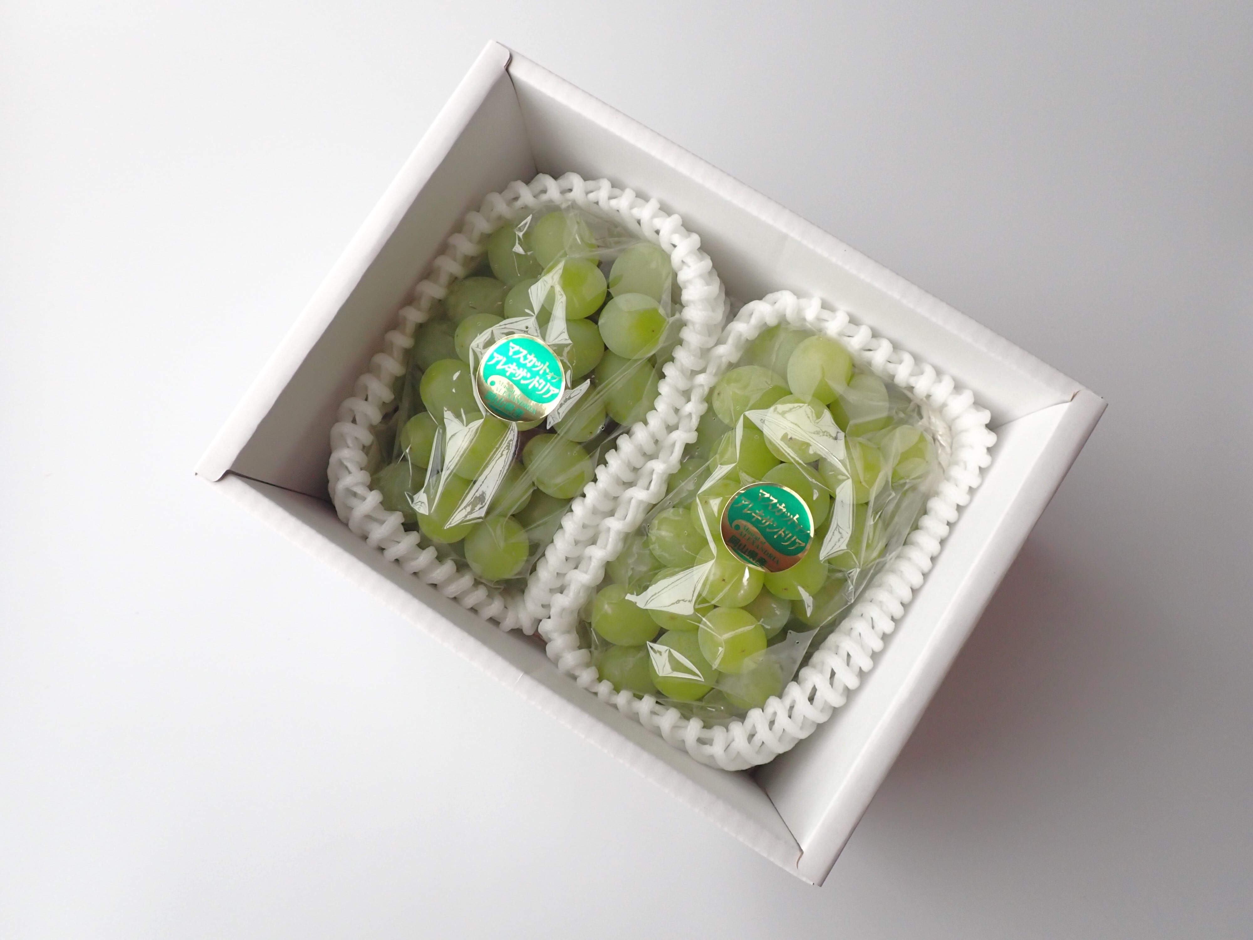 [9月中旬から発送]ギフト仕様 マスカット・オブ・アレキサンドリア（内容量　2房、約1.2kg）