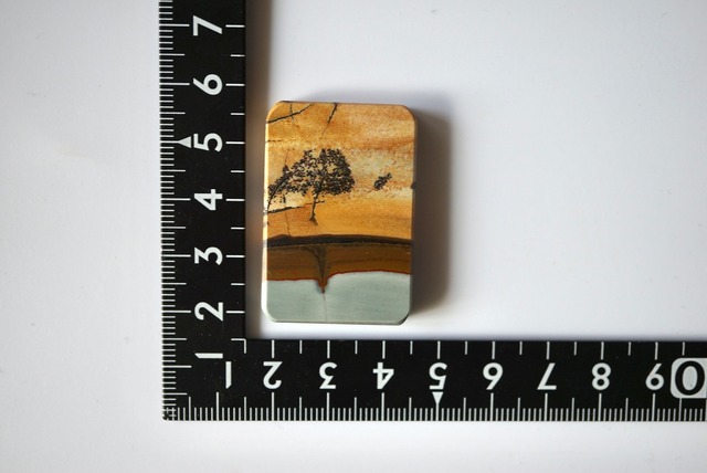 チェリークリーク・ジャスパー　Cherry Creek Jasper 833